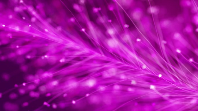抽象紫色羽毛叶背景