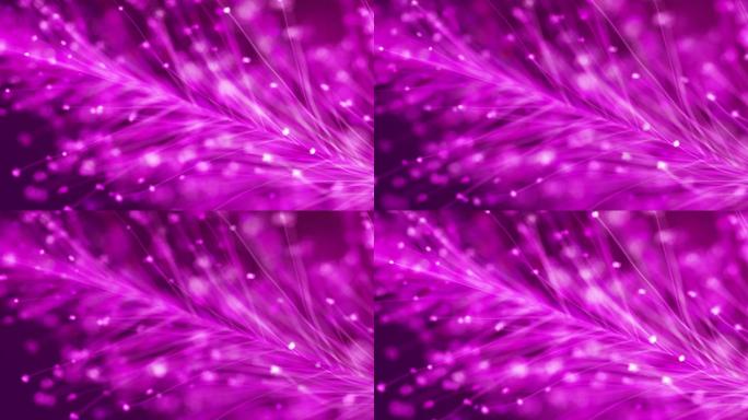 抽象紫色羽毛叶背景