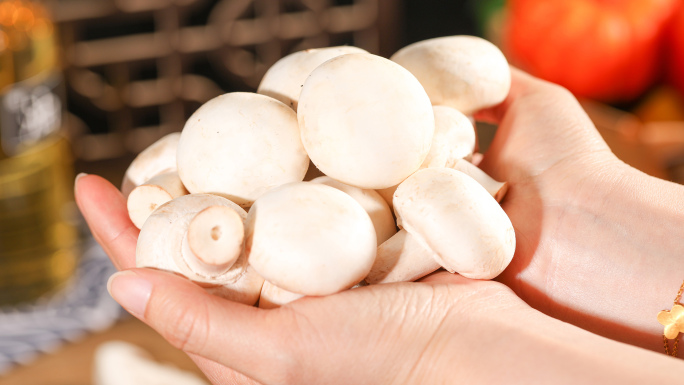 口蘑 白蘑菇