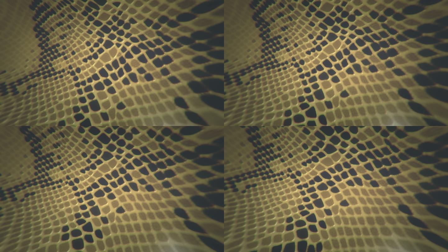 蛇皮背景虚拟素材视频