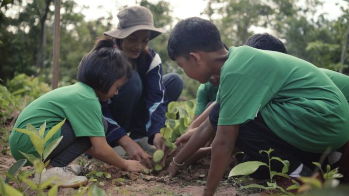孩子们在种树植树节师生亲子素质教育