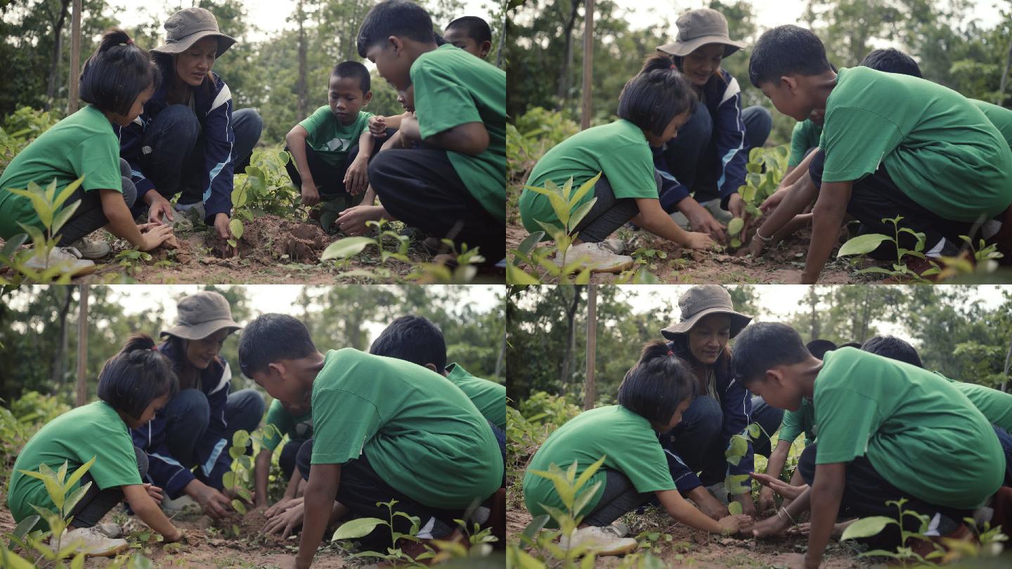 孩子们在种树植树节师生亲子素质教育