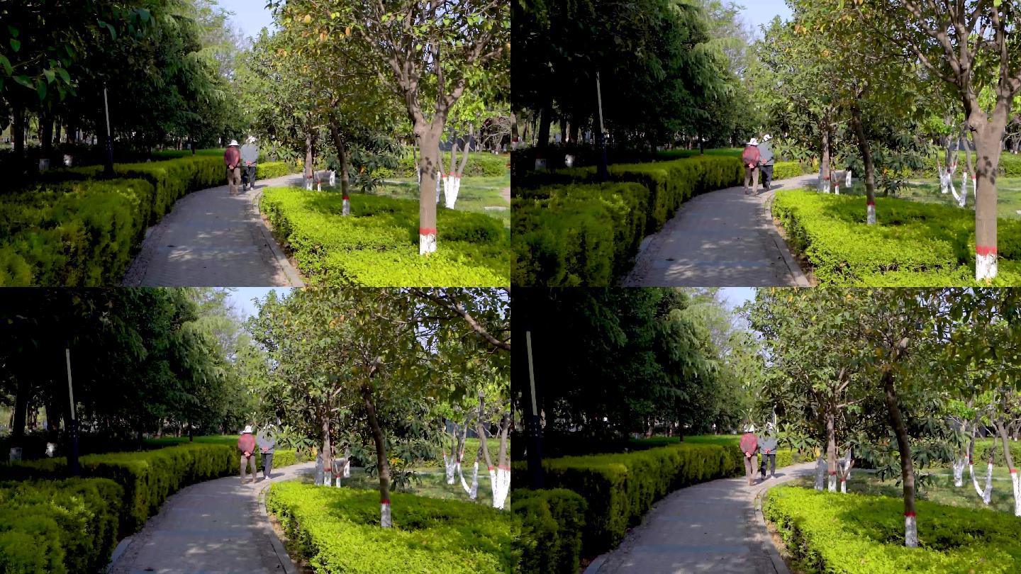 公园小路C