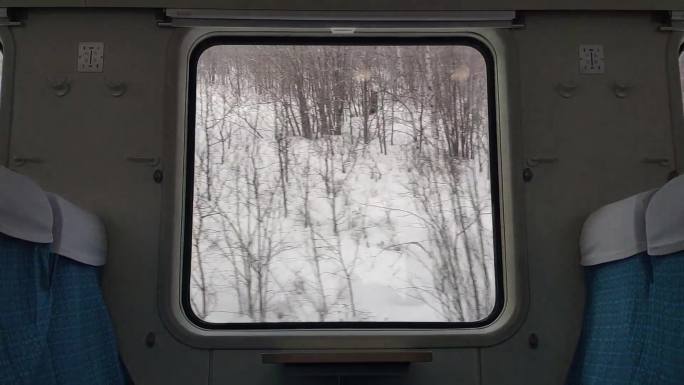 火车车窗外的雪原