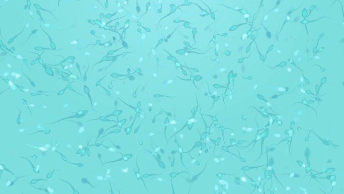 精子背景生殖器生命技术动画素材