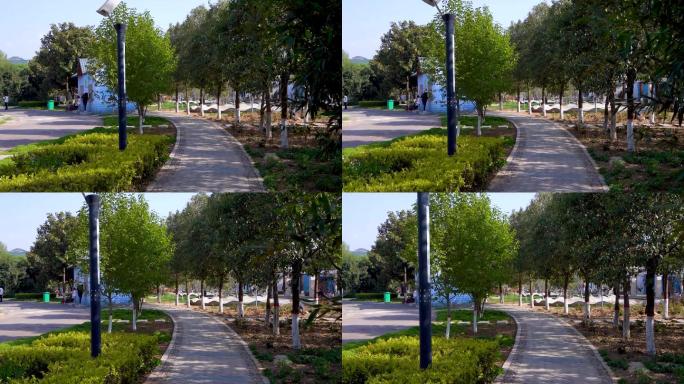 植物园 公园 游客C