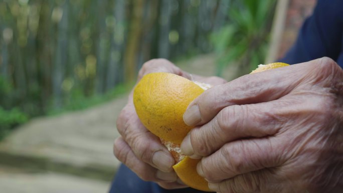 老人吃橘子4k