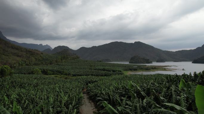 飞向芭蕉林山峦河流