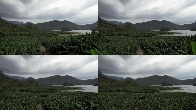 飞向芭蕉林山峦河流