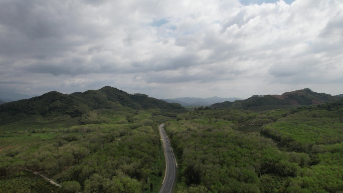 山峦树林间行车横移01