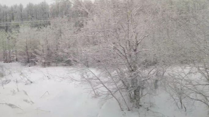 火车窗外的雪景森林雪景开往阿尔山的火车