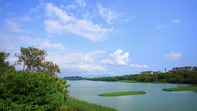 深圳南山华侨城湿地公园