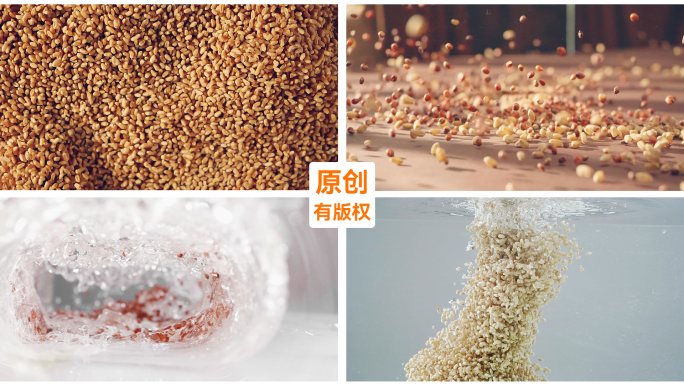 白酒、小麦、高粱、碰撞、粮食、酿造、工艺