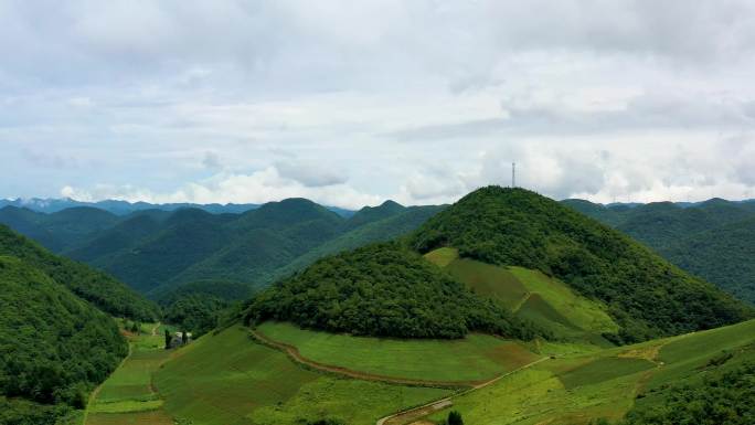 高山海拔党参以及药材种植地运输环境