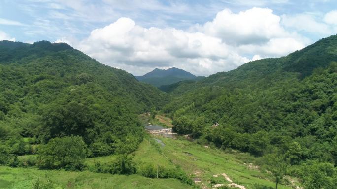 4k乌鸡厂 大别山