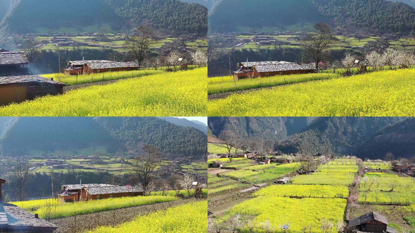 丙中洛茶腊小组田园风光