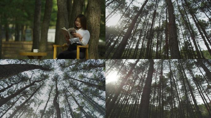 森林看书