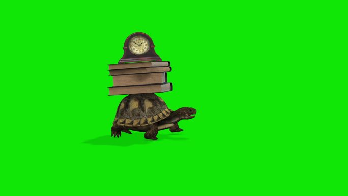 背着书和时钟的乌龟