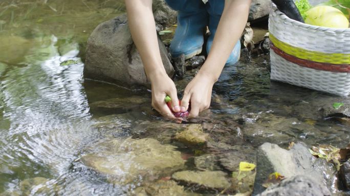 山间溪流洗水果蔬菜8