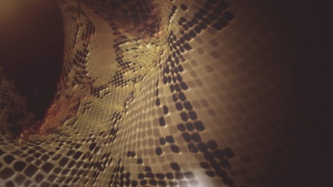 蛇皮背景虚拟素材视频