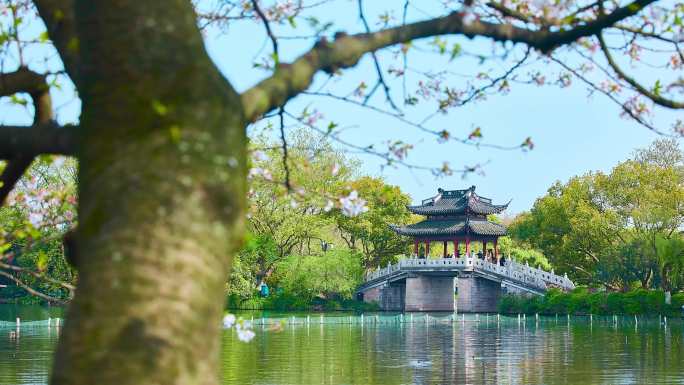 西湖景区各景点延时摄影集4K