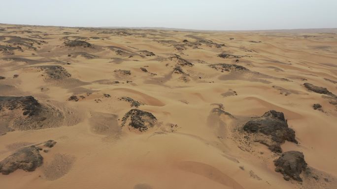 防沙治沙 环境治理抗旱环境保护生态治理