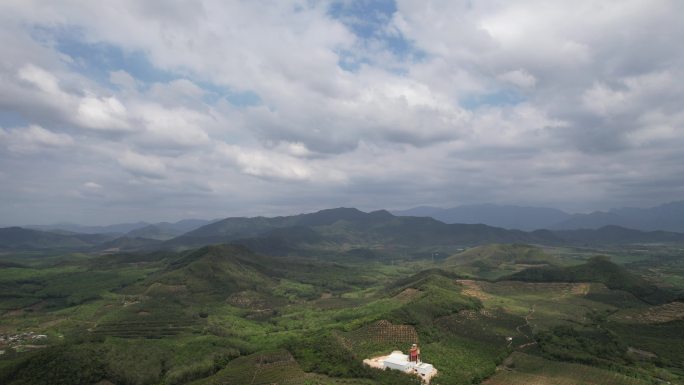 飞向山峦树林