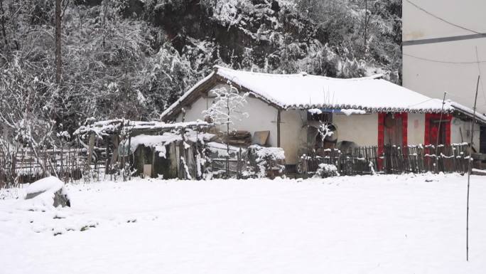 农村景区下雪雪花飘舞雪景景观3