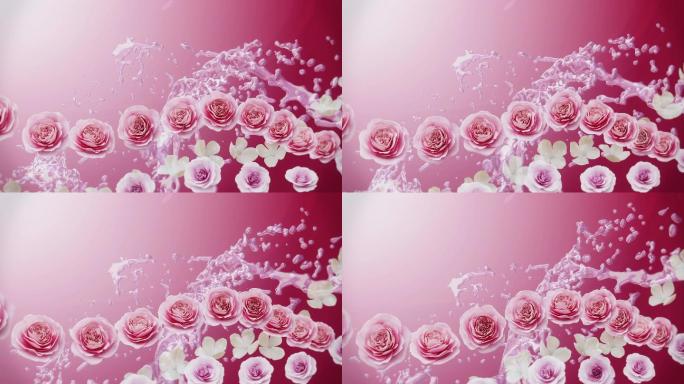 美丽的粉红色玫瑰花背景