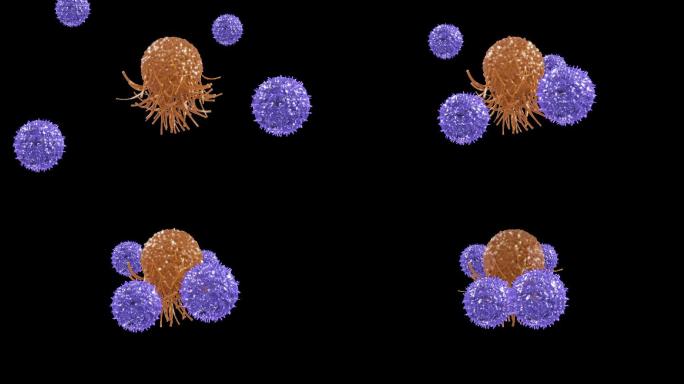 CRT细胞杀死癌细胞2