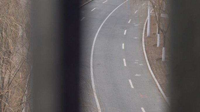 沈阳富民桥奥林匹克健身路情侣升格摄影