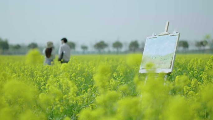 油菜花情侣