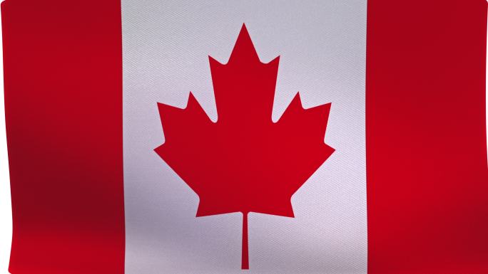 加拿大国旗加拿大国旗飘扬