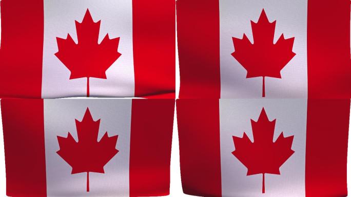 加拿大国旗加拿大国旗飘扬