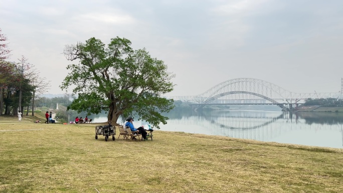邕江滨江公园市民游客休闲漫生活