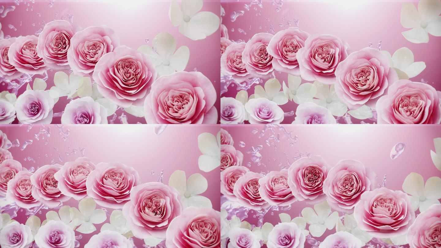 美丽的粉红色玫瑰花