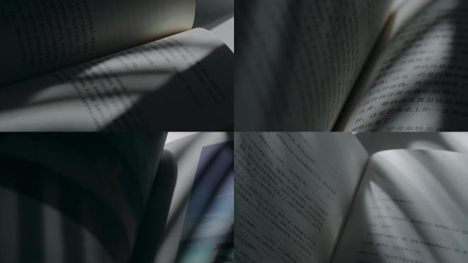 翻书阅读看书书本光影