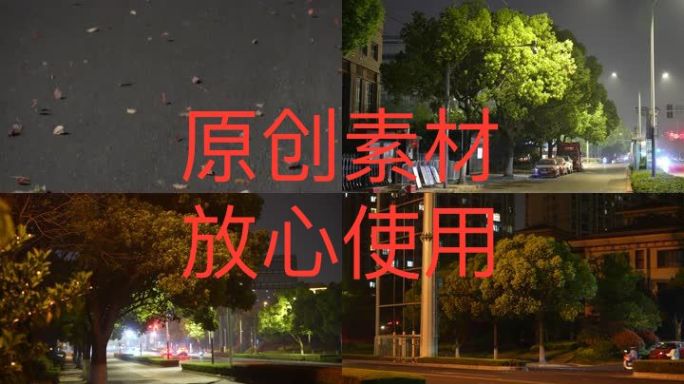 【4K高清原创】深夜街头风吹树叶刮风下雨