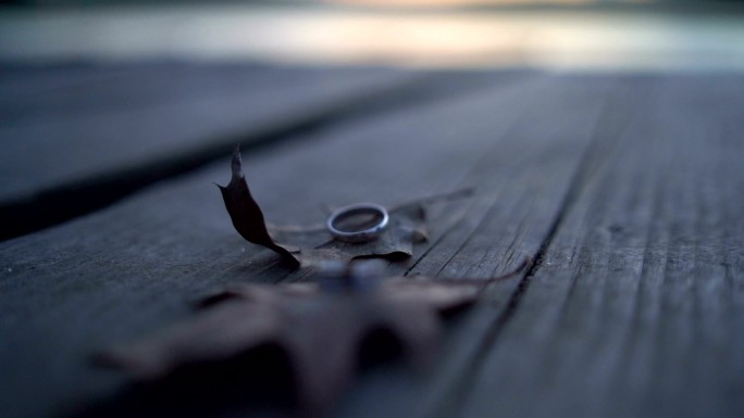 叶子上的结婚戒指公园长椅木板