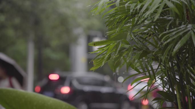 城市下雨天素材