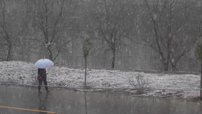 农村景区下雪雪花飘舞雪景景观7