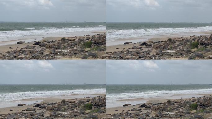 海边沙滩石头海浪远处大桥