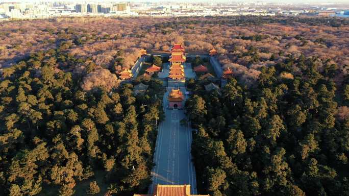 辽宁沈阳秋季北陵公园大气航拍城市风光