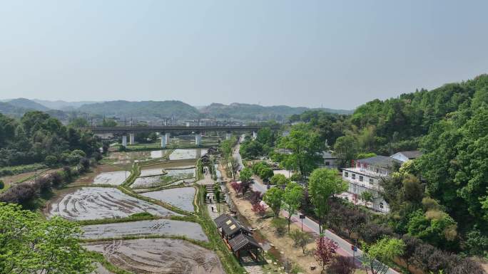 乡村振兴山乡巨变第一村