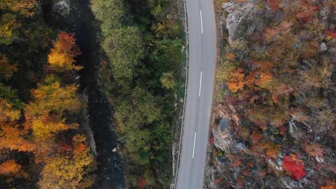 峡谷中的公路秋衣枫叶满山枫叶树半山腰赛车