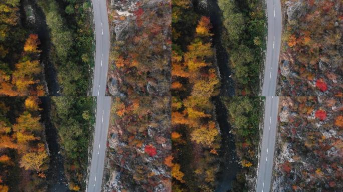 峡谷中的公路秋衣枫叶满山枫叶树半山腰赛车