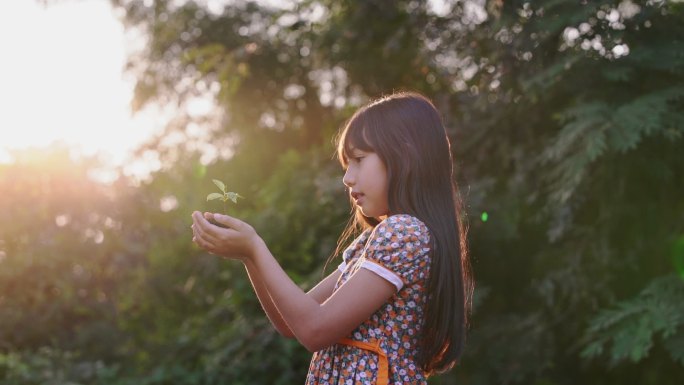 可爱的小女孩手捧树苗