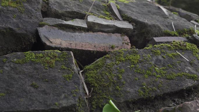 石头青苔围墙瓦砾