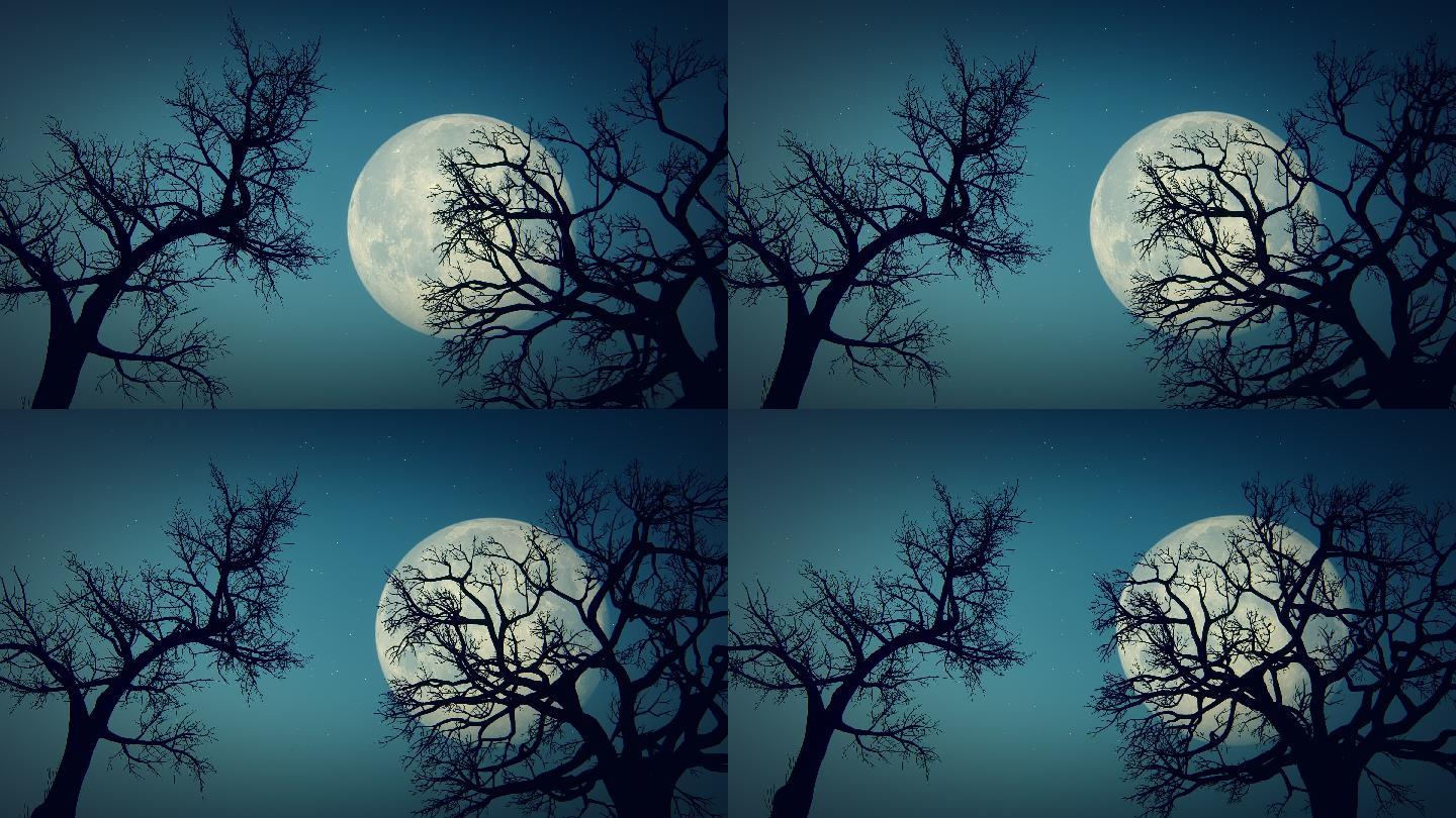 月亮和枯树戏剧性的天空林地梦幻幻想