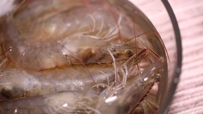 【镜头合集】新鲜的大虾海虾虾线 (4)